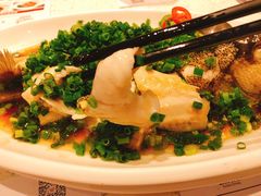 青花椒蒸鲈鱼-新宝餐厅(流塘店)