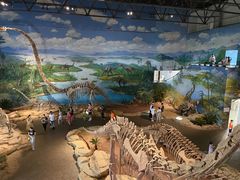 -自贡恐龙博物馆