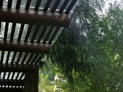 -MOJ coffee(瓯海泽雅水碓坑店)