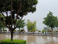 -阿鹏故事野生菌火锅(古城店)