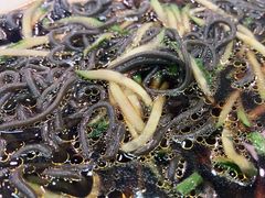 蕨根粉-乔家满族八大碗(流水沟店)