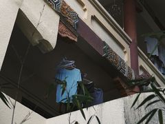 -深圳仙湖植物园