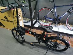 -道路口单车爱瓦士dahon大行