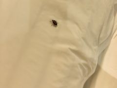 -秦皇岛阿尔卡迪亚滨海度假酒店