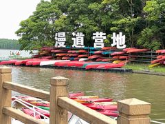 -上海海湾国家森林公园