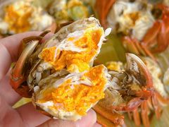 -蟹天蟹地农家菜·阳澄湖大闸蟹(浅水湾店)