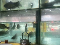 -茂港柏香(侨港路店)