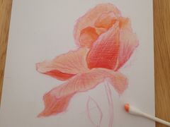 -BRAVO 赞·美艺术中心·系统美术·书法·艺考(双井校区)