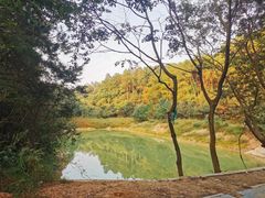 -青龙山国家森林公园