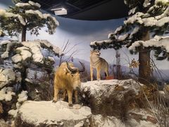 -陕西自然博物馆