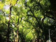 -桂林独秀峰王城景区