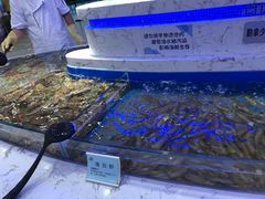 水产区-澜悦港海鲜体验主题餐厅
