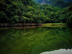 -青城山