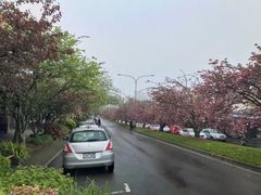 -悉尼蓝山三姐妹峰