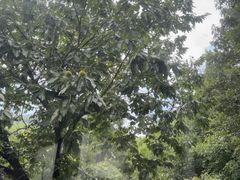 -红军广场-金寨县革命博物馆