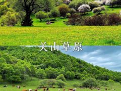 -关山草原