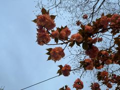 -天鹅湖体育公园
