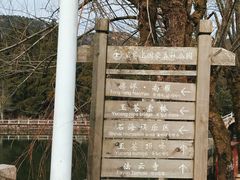 -玉苍山国家森林公园