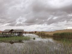 -沙漠世界地质公园