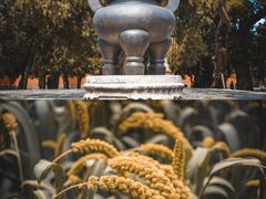 -北京古代建筑博物馆