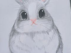 -谷隆画舍·国画书法素描彩铅水彩