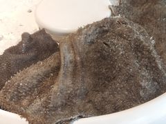 -小牛叔鲜切牛肉·火锅·烤肉自助(公济桥路店)