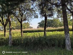 -汉长安城未央宫国家考古遗址公园