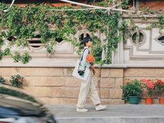 -溪岸路花鸟市场