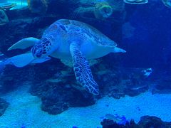 -成都浩海立方海洋公园