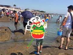 -日照海滨国家森林公园
