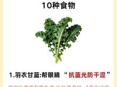 -上海大学附属上海和平眼科医院