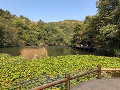 -天目湖山水园