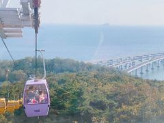 -星海湾跨海大桥