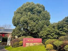 -桃花岛景观公园
