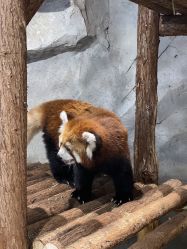 -Zoolung Zoolung动物主题公园(海信广场店)