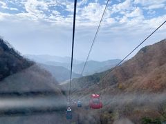 -王顺山国家森林公园