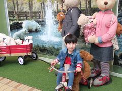 -济州岛泰迪熊博物馆