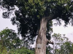 -金堂县云顶石城风景区