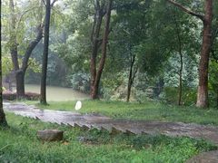 -敬亭山风景名胜区