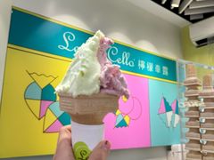 -柠檬车露(卖草地店)