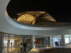 -哈尔滨大剧院