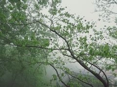 -灵顺寺