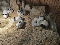 -中南南通体育会展中心