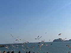 -傅家庄公园