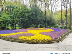 -上海共青森林公园