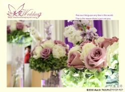 美雯苏宁卢浮宫-苏宁环球套房饭店·宴会厅