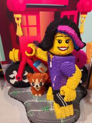 -乐高授权专卖店(西单大悦城店)