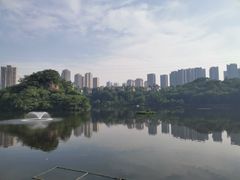 -重庆彩云湖湿地公园