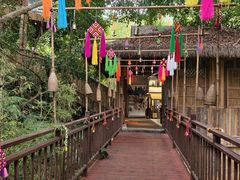-西双版纳原始森林公园