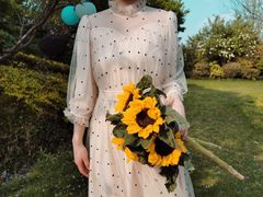 -桃花岛景观公园